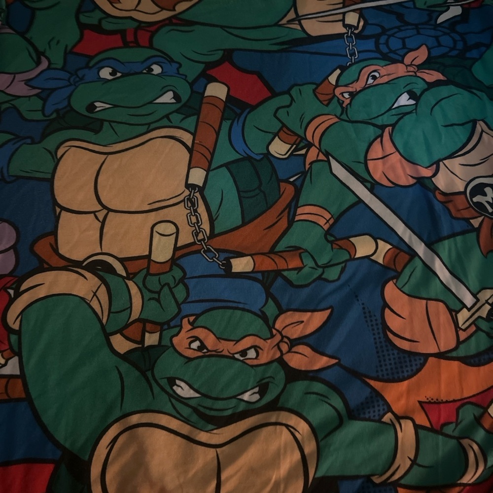 Teenage Mutant Ninja Turtles Graphic Tee – Size XXL